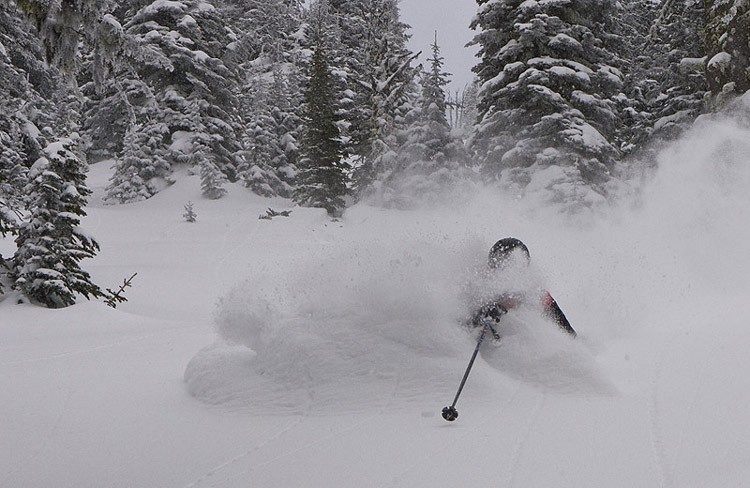 Fresh Powder Catskiing!