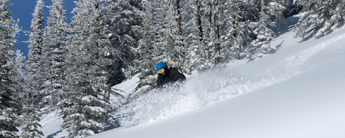 2011 Powder Skis - Salomon, Rossignol, Line, Crown Skis, Movement, Blizzard