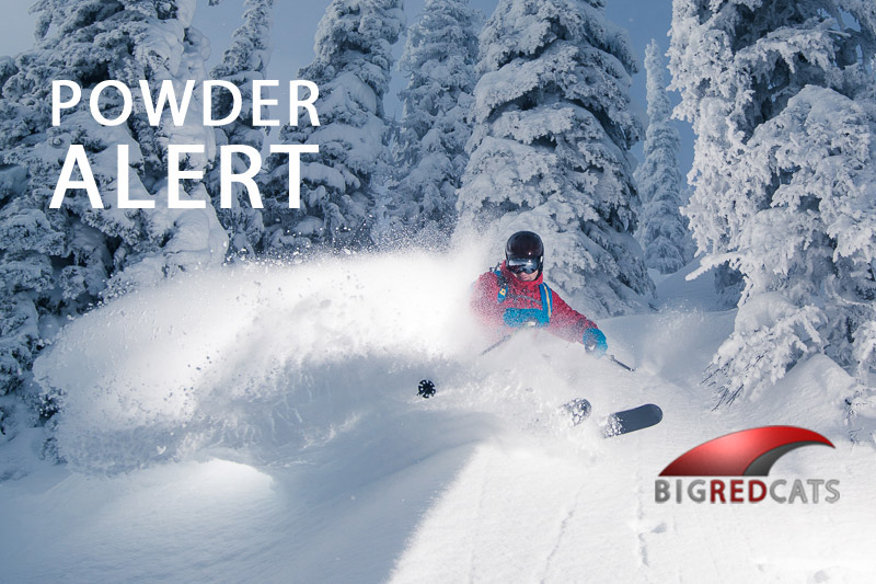 POWDER ALERT for Big Red Cats!