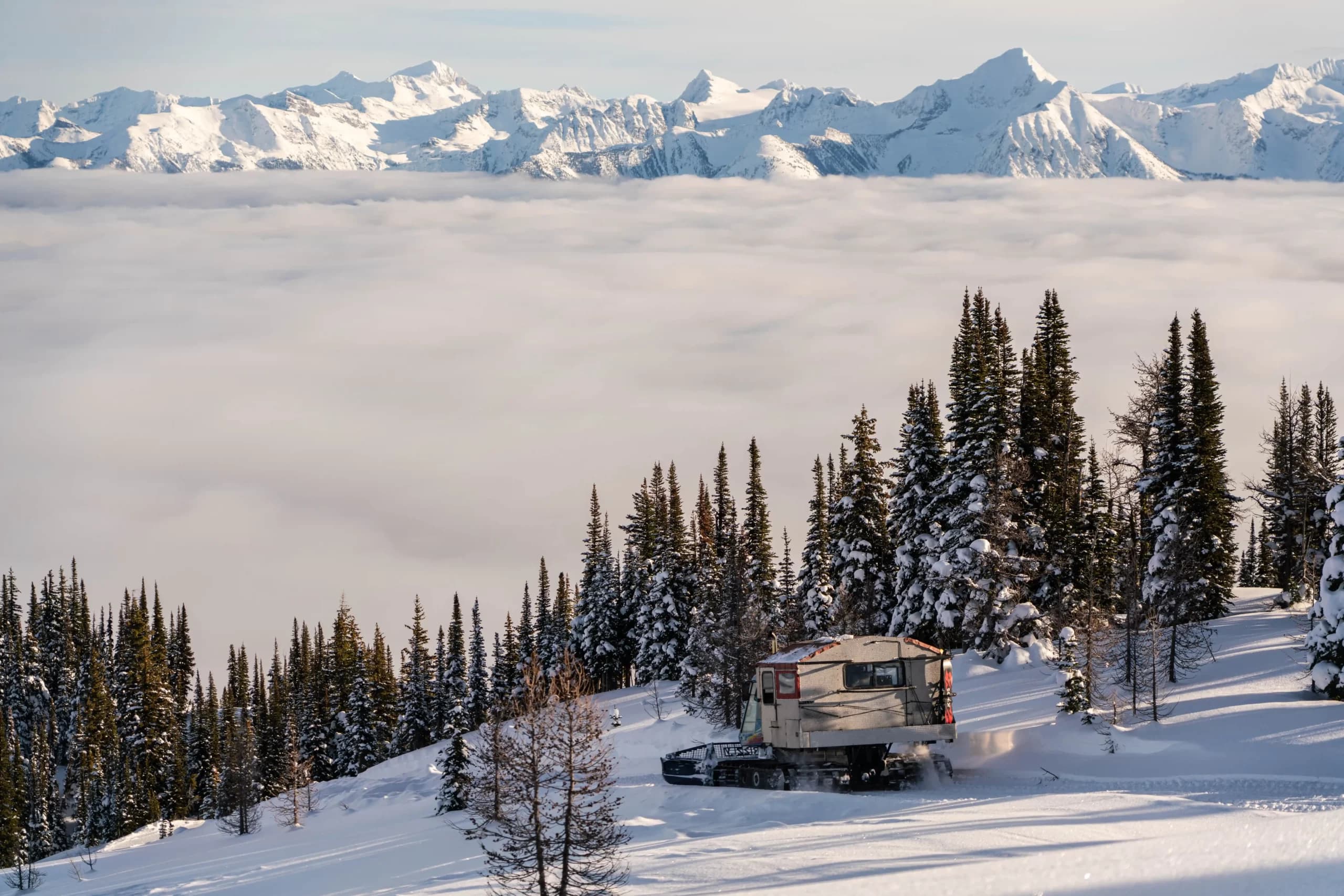 Cat-Assisted Ski Touring, White Grizzly Style